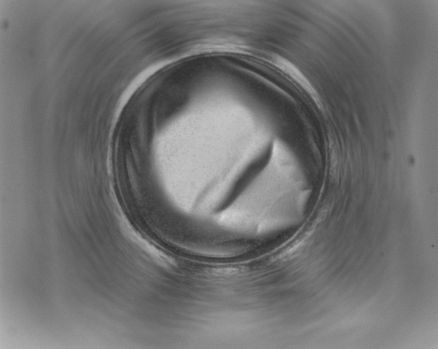 X0000074001339200609111549