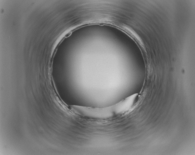 X0000074001340200609111549