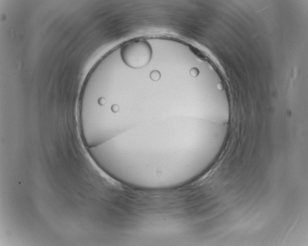 X0000074001343200609111549