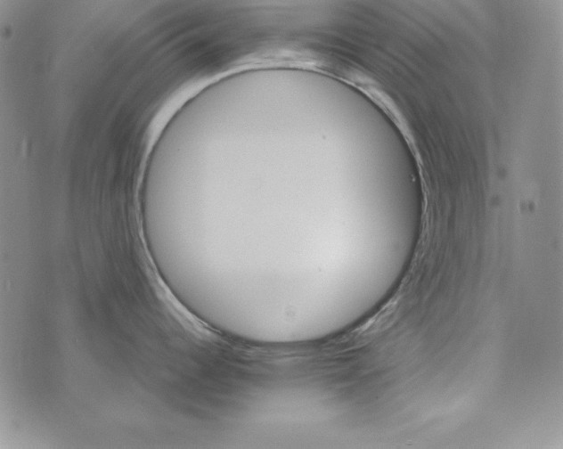 X0000074001344200609111549