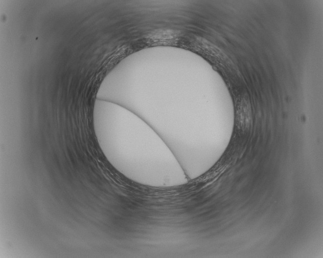 X0000074001346200609111548