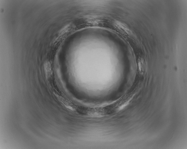 X0000074001347200609111548