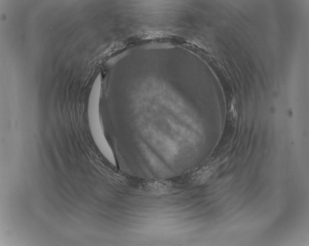 X0000074001348200609111548