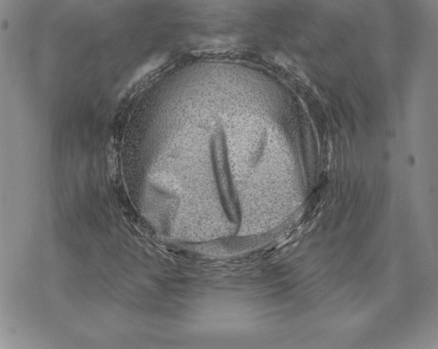 X0000074001350200609111548