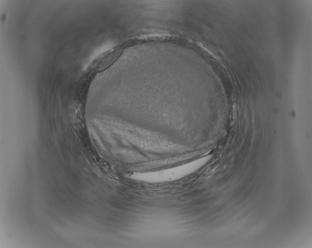 X0000074001351200609111548