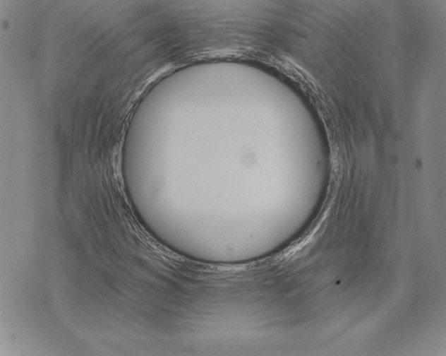 X0000074001353200609111548