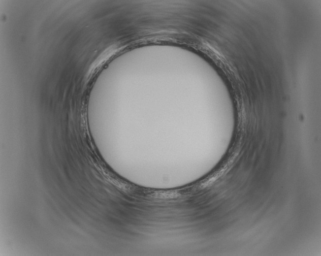 X0000074001354200609111548