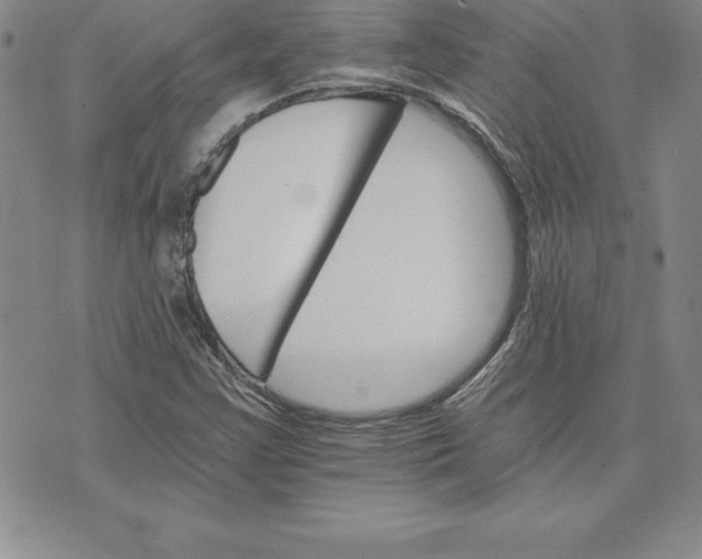 X0000074001355200609111548