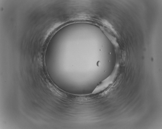 X0000074001356200609111548