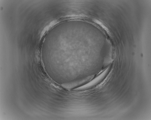 X0000074001357200609111548