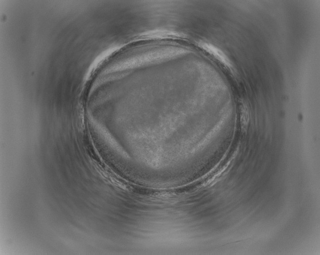 X0000074001358200609111548