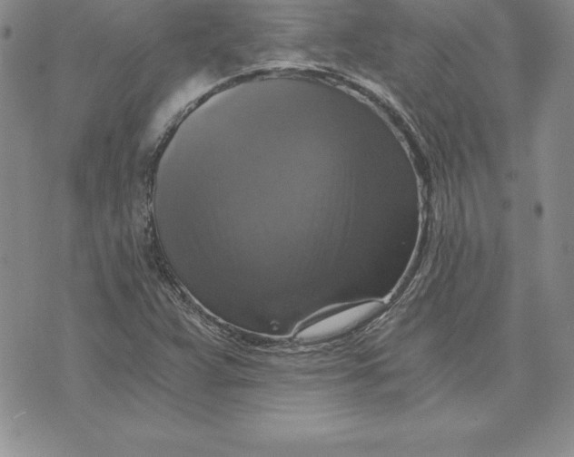 X0000074001359200609111548