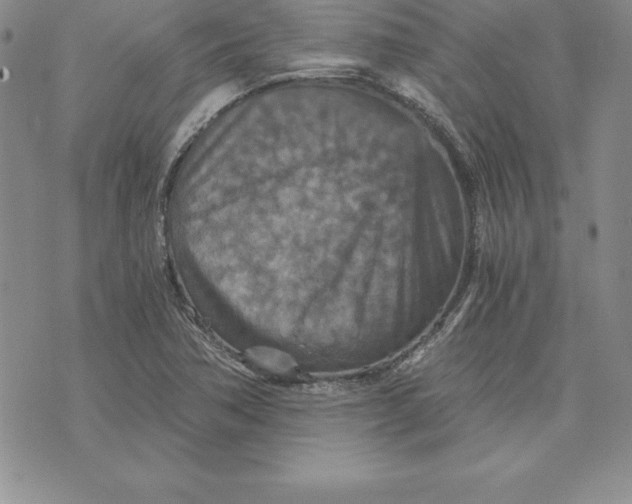 X0000074001362200609111548