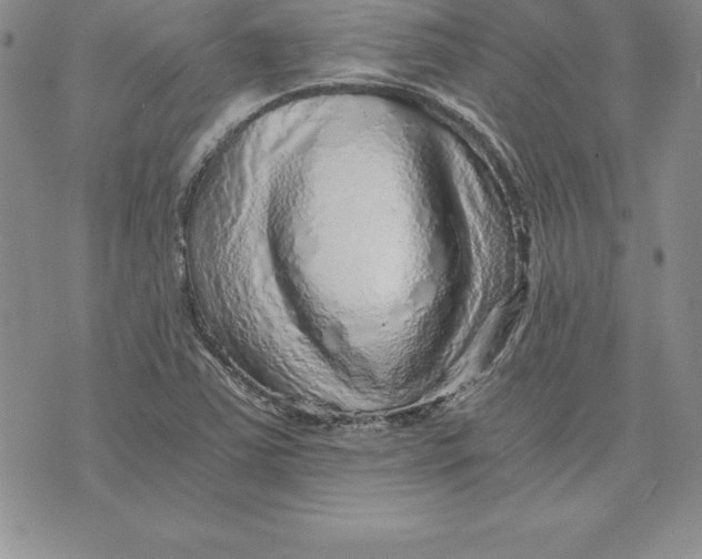 X0000074001363200609111548