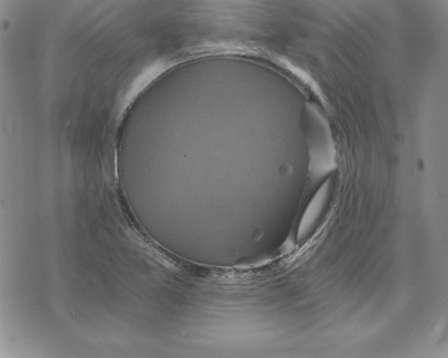 X0000074001365200609111548