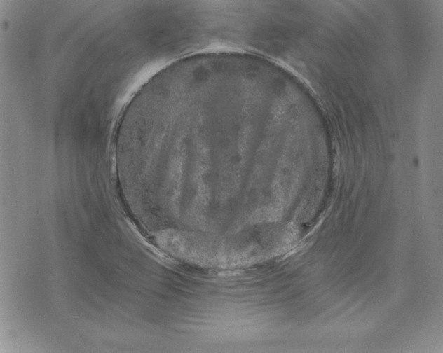 X0000074001367200609111548