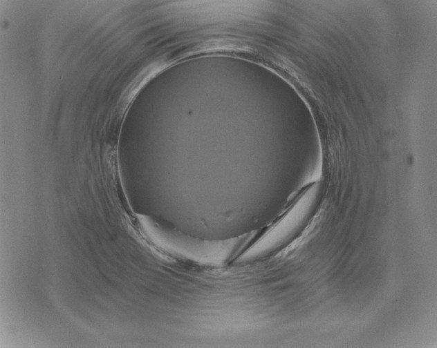 X0000074001369200609111548