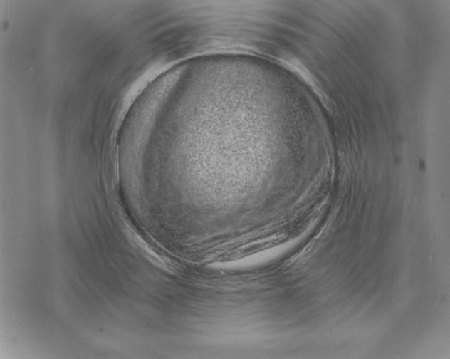 X0000074001371200609111548