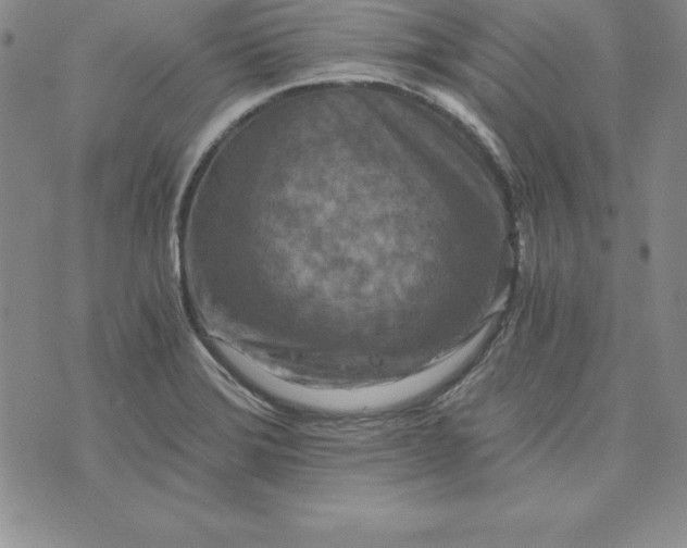 X0000074001372200609111548