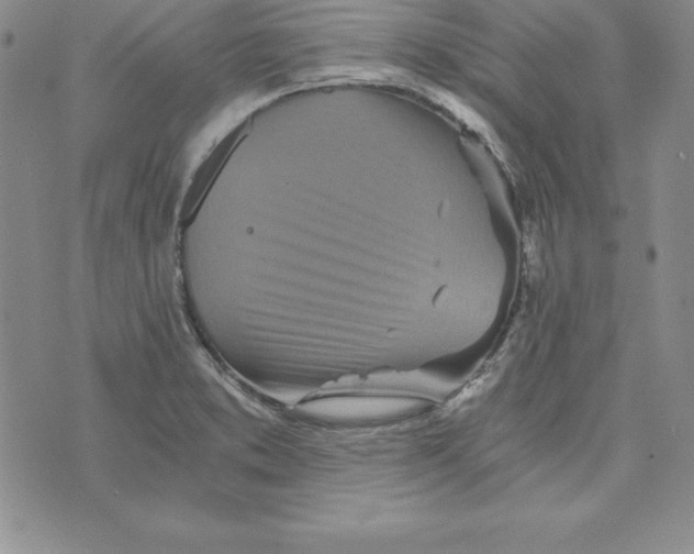 X0000074001373200609111548