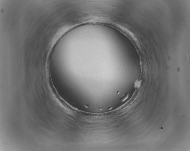 X0000074001375200609111547