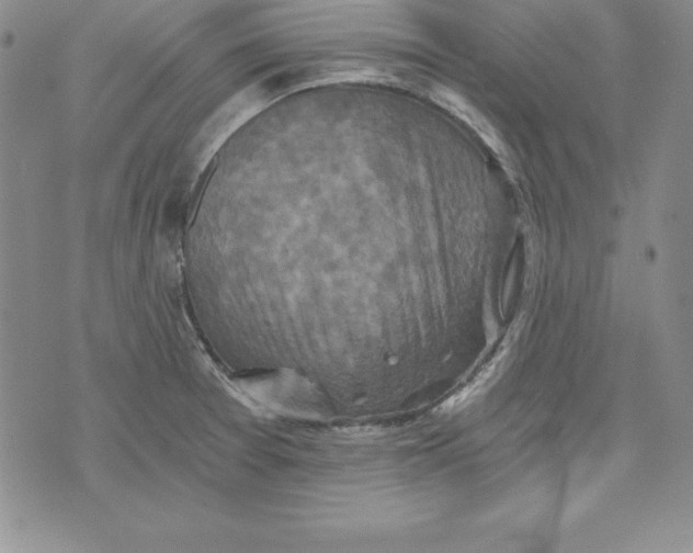 X0000074001377200609111547