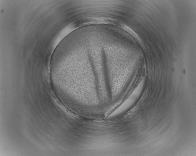 X0000074001378200609111547