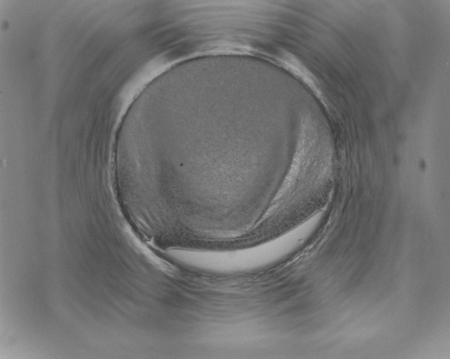 X0000074001379200609111547