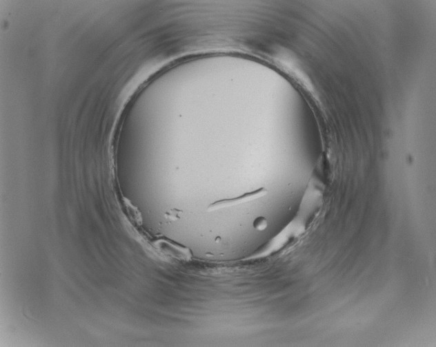 X0000074001380200609111547