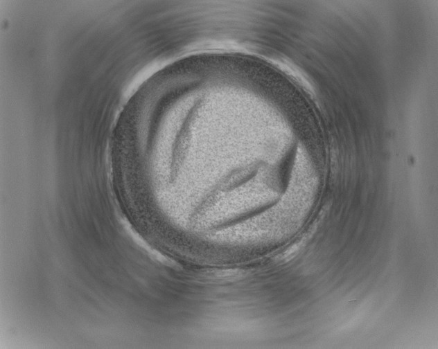 X0000074001382200609111547