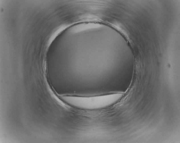 X0000074001383200609111547