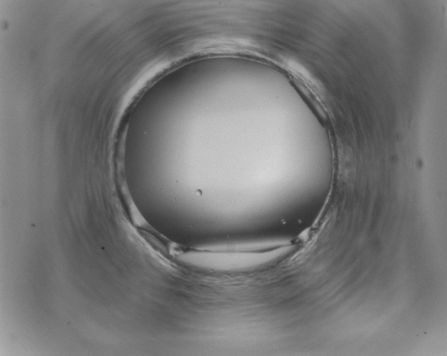 X0000074001384200609111547