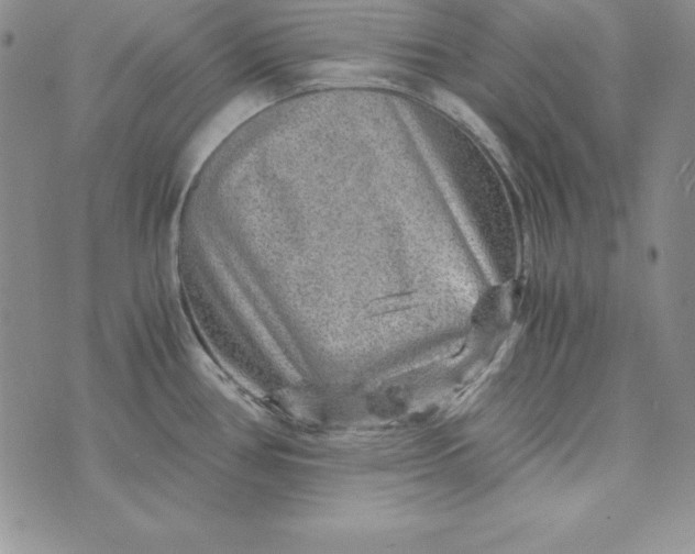 X0000074001386200609111547