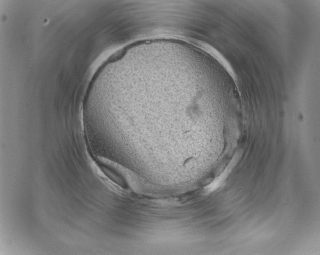 X0000074001388200609111547