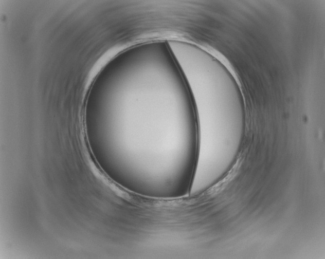 X0000074001389200609111547