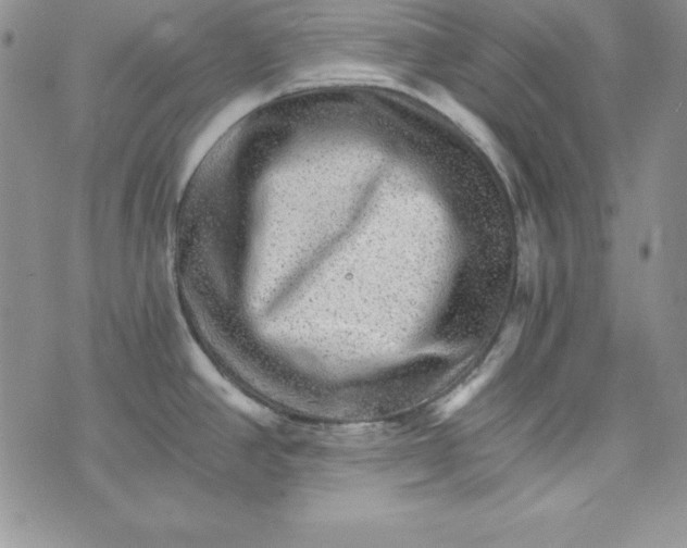 X0000074001390200609111547