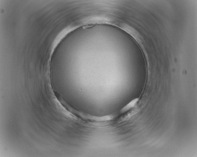 X0000074001392200609111547