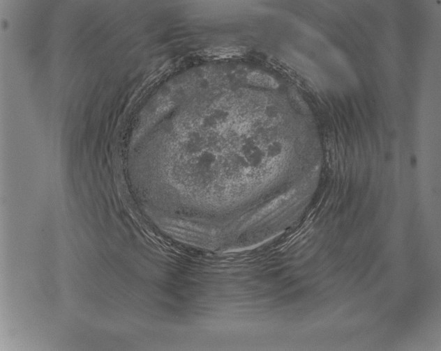 X0000074001393200609111546