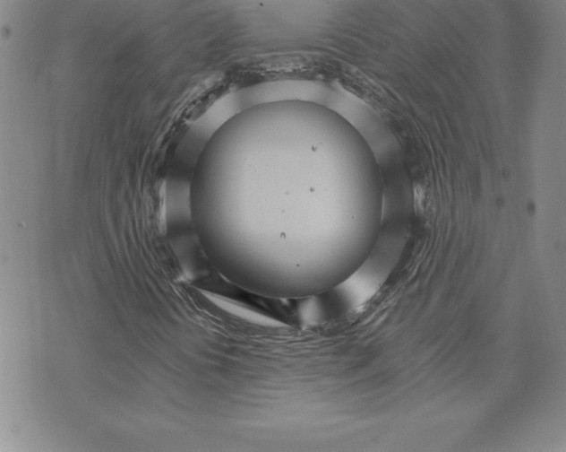 X0000074001394200609111546