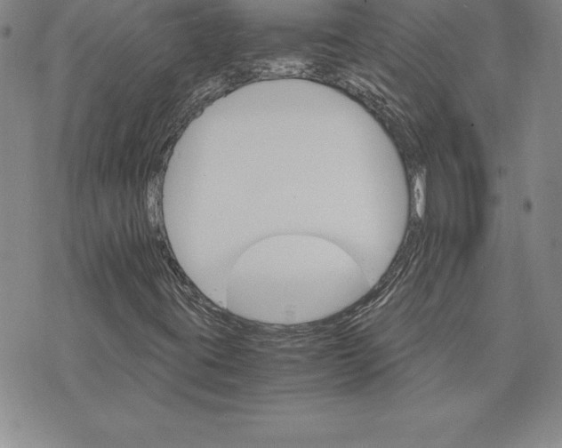 X0000074001395200609111546