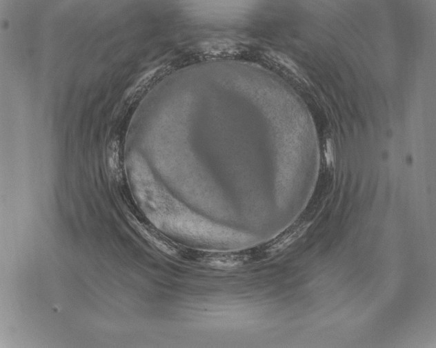 X0000074001396200609111546