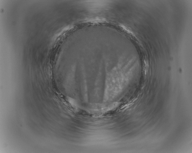 X0000074001398200609111547