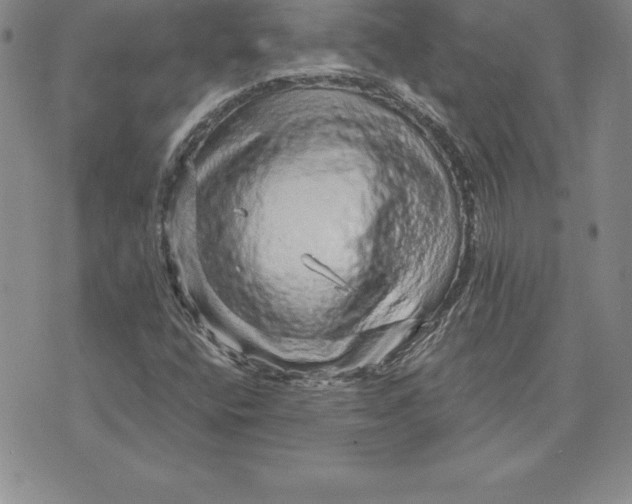 X0000074001400200609111547