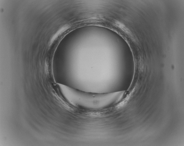 X0000074001402200609111547