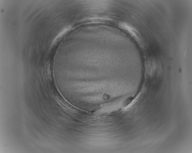 X0000074001403200609111547