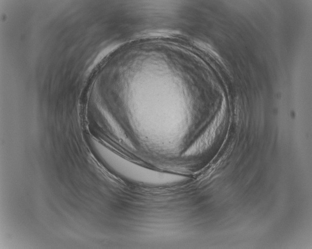 X0000074001404200609111547