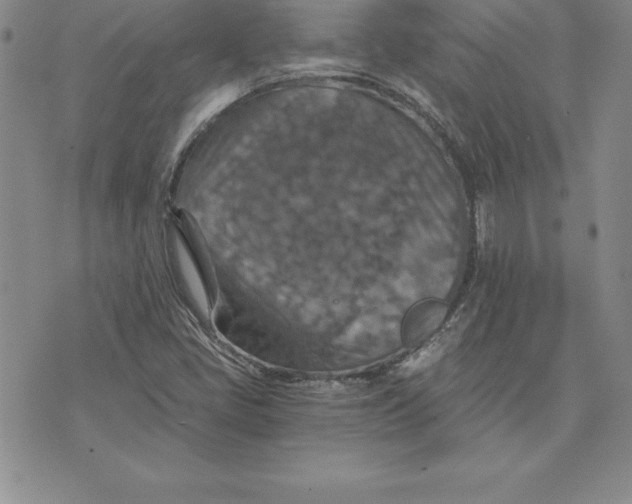 X0000074001405200609111547