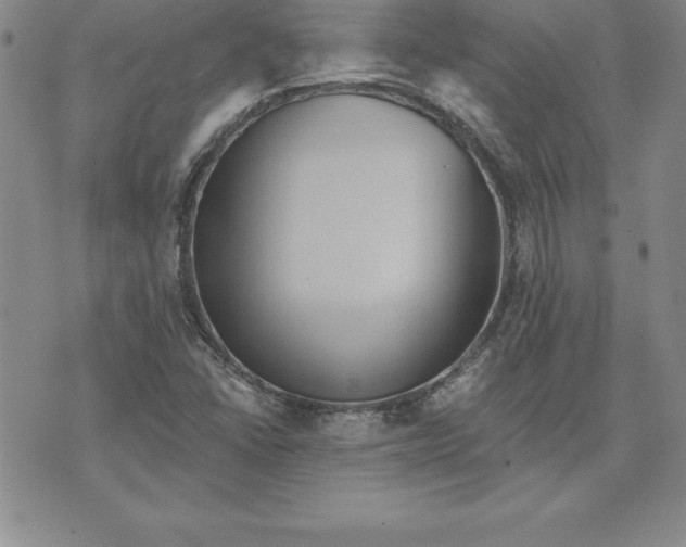 X0000074001406200609111547