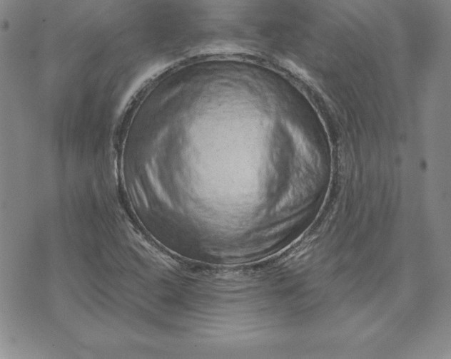 X0000074001408200609111547