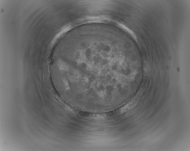 X0000074001411200609111547